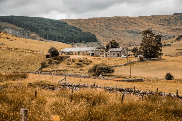 Which historic houses in Norfolk offer guided tours?